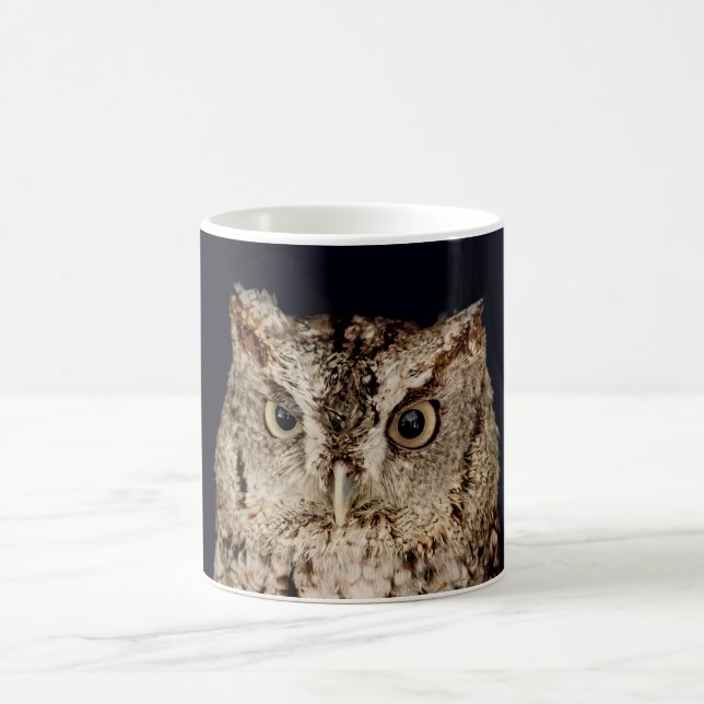 Screech Owl Coffee Mug (Center)