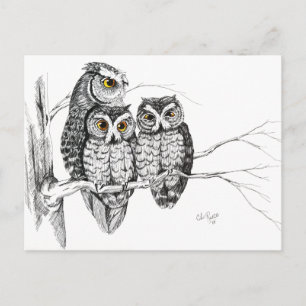 Screech Owl Family 2 Postcard