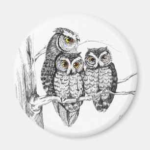 Screech Owl Family Magnet