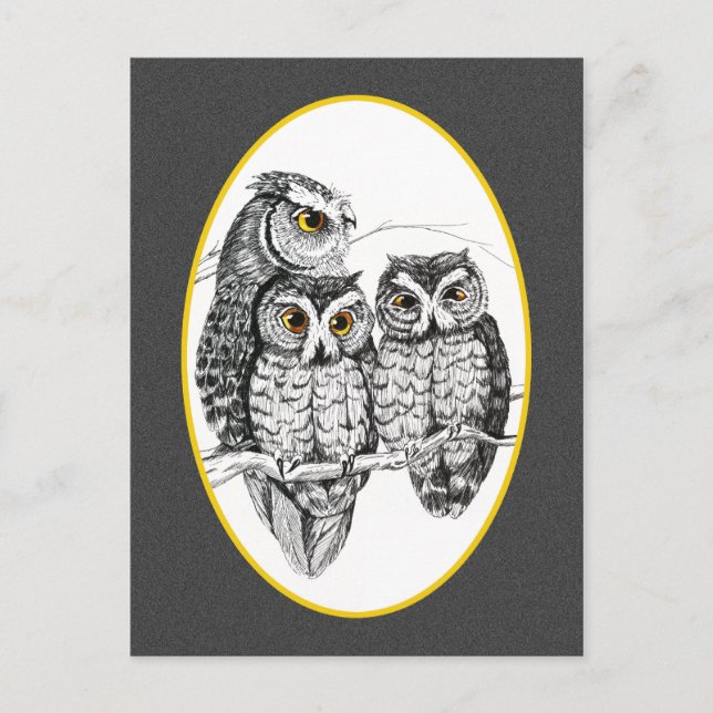 Screech Owl Family Postcard (Front)