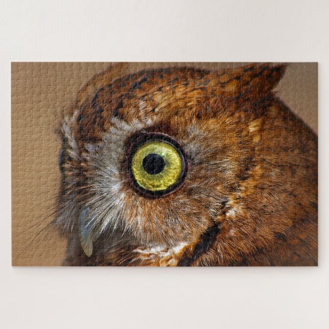 Screech Owl in Pieces Jigsaw Puzzle (Horizontal)
