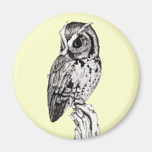 Screech Owl Magnet