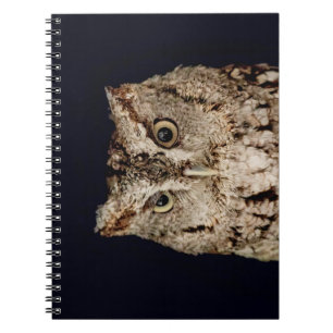 Screech Owl Notebook