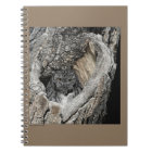 Screech Owl Notebook