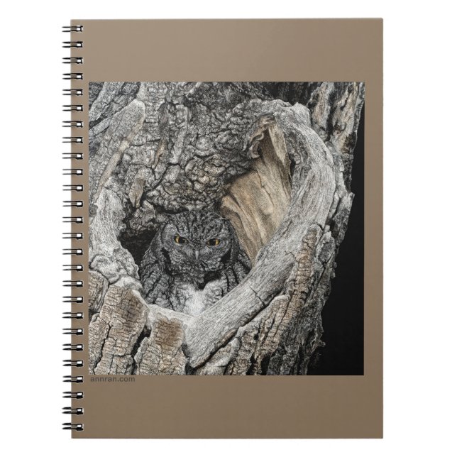 Screech Owl Notebook  (Front)