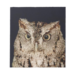 Screech Owl Notepad