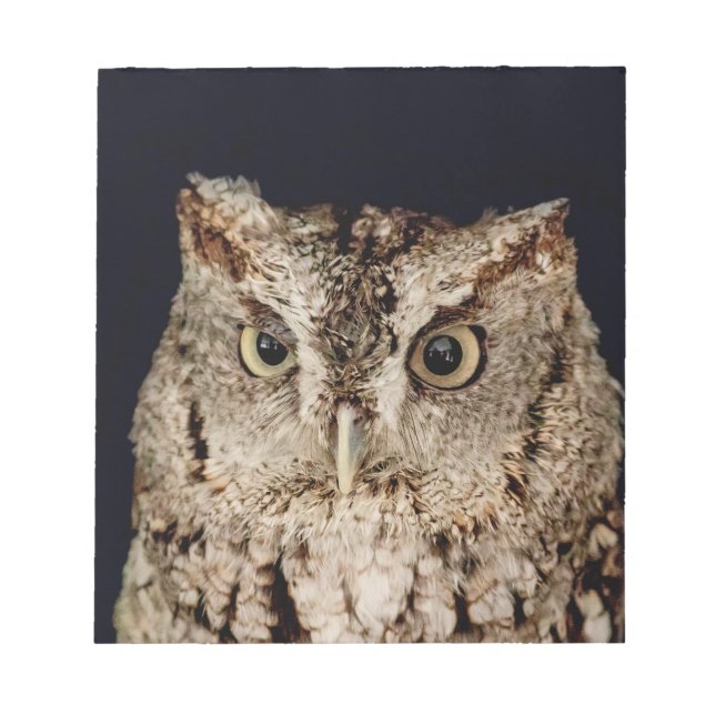 Screech Owl Notepad (Front)