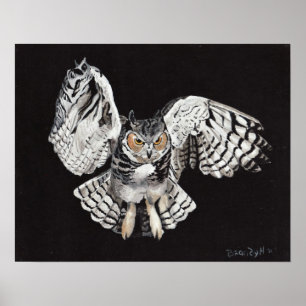 Screech Owl Poster