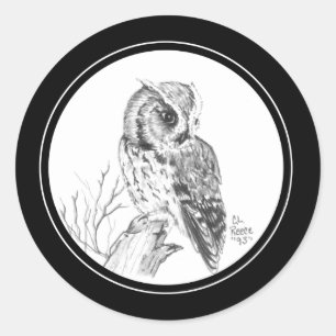 Screech Owl Sticker in pencil
