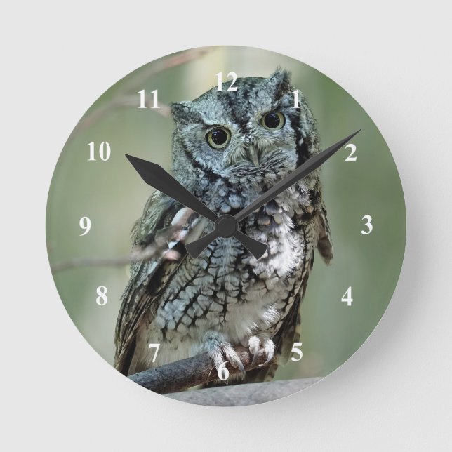 Screech Owl Tree Branch Photo Round Clock (Front)