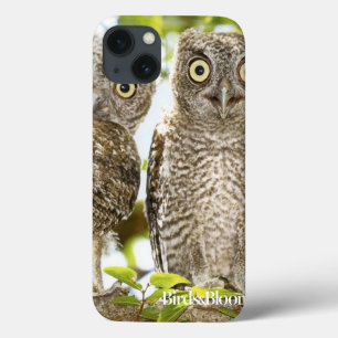 Screech Owls Chicks iPhone 13 Case