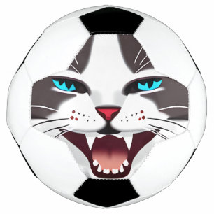 Screeching Blue Eyed Cat Football