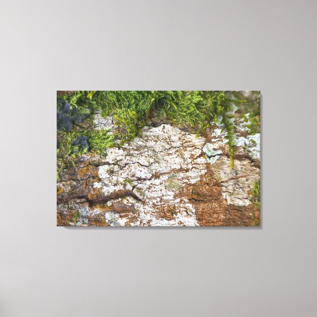 SCREEN FRAME CANVAS NATUREZA BRAZIL (Front)