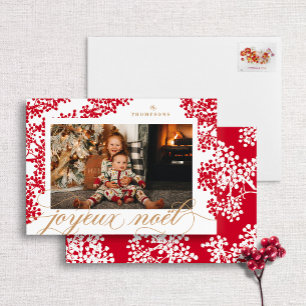 Script Joyeux Noel Red Berries Photo Card