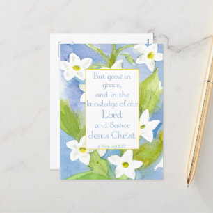 Scripture 2 Peter 3:18 Nicotiana Flowers   Holiday Postcard