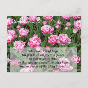 Scripture Meditation and Memory Card