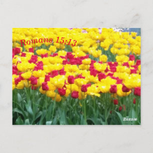 Scripture Meditation Card Romans 15:13