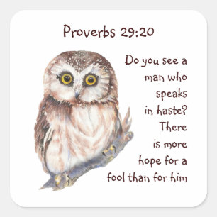 Scripture Proverbs 29:20 Don't Speak in Haste Owl Square Sticker