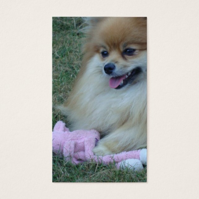 Scriptures Made Fun: Psalm 37:4 (Front)