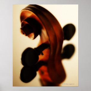 Scroll and Neck Poster
