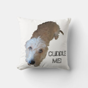 Scruffy Dog "CUDDLE ME!" Pillow