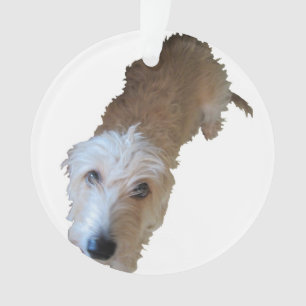 Scruffy Dog Ornament