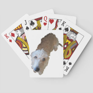 Scruffy Dog Playing Cards