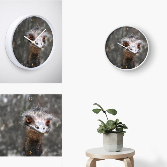 Scruffy Ole Bird, Emu. Square Wall Clock (Creator Uploaded)