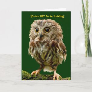 Scruffy Owl birthday card