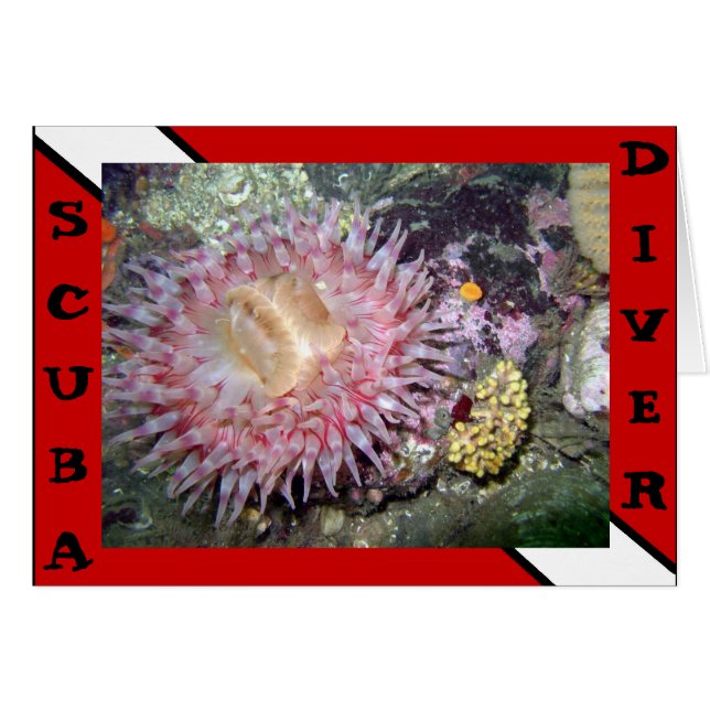 Scuba Diver Anemone Card (Front Horizontal)