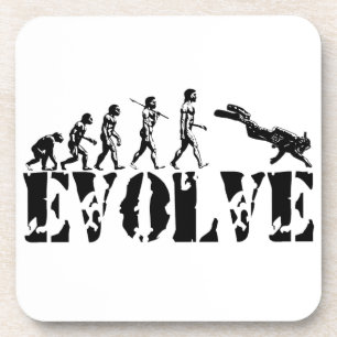 Scuba Diver Diving Evolution Sports Art Coaster