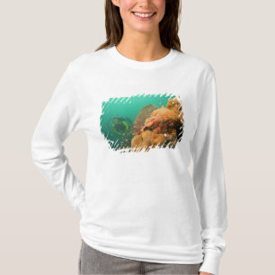 scuba diver & Scorpionfish Scorpanopsis T-Shirt