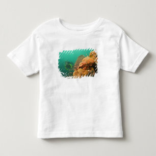 scuba diver & Scorpionfish Scorpanopsis Toddler T-Shirt