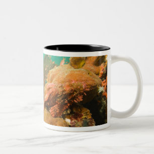 scuba diver & Scorpionfish Scorpanopsis Two-Tone Coffee Mug