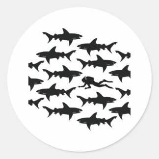 Scuba Diver Swimming with a School of Sharks Classic Round Sticker