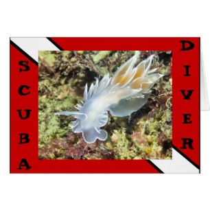 Scuba Divier Nudibranch Card