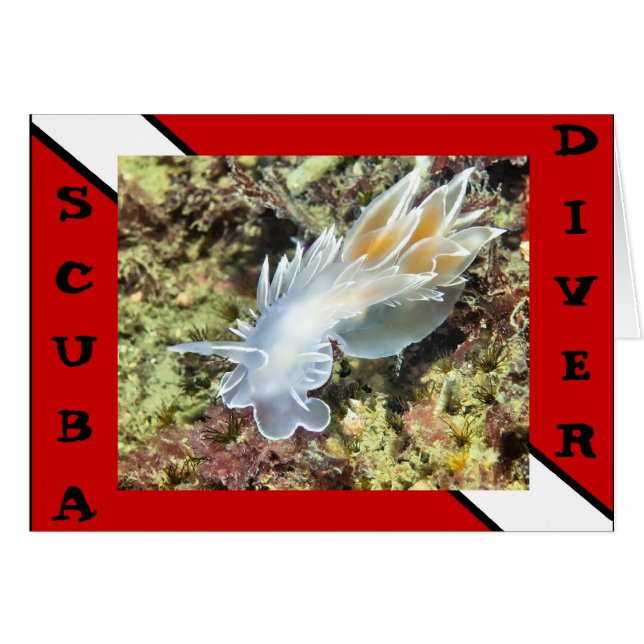 Scuba Divier Nudibranch Card (Front Horizontal)
