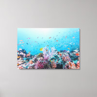 Scuba Diving With Colourful Reef And Coral