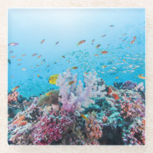 Scuba Diving With Colourful Reef And Coral Glass Coaster