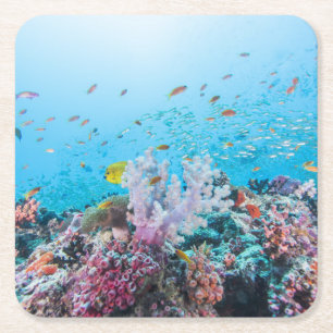 Scuba Diving With Colourful Reef And Coral Square Paper Coaster