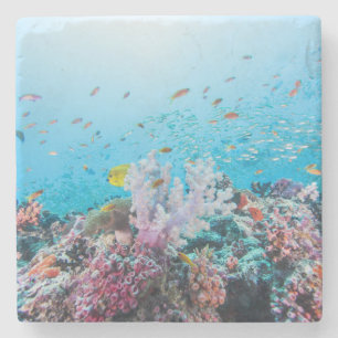Scuba Diving With Colourful Reef And Coral Stone Coaster