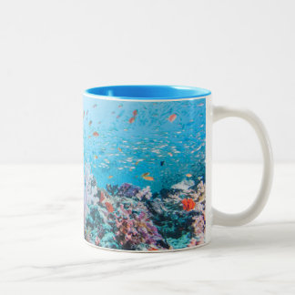 Scuba Diving With Colourful Reef And Coral Two-Tone Coffee Mug