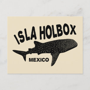 Scuba Diving With Whale Sharks Isla Holbox Mexico Postcard