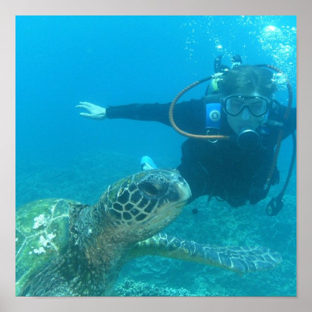 Scuba Underwater Life Poster (Front)