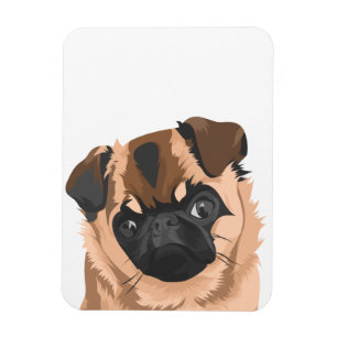 Scully Magnet