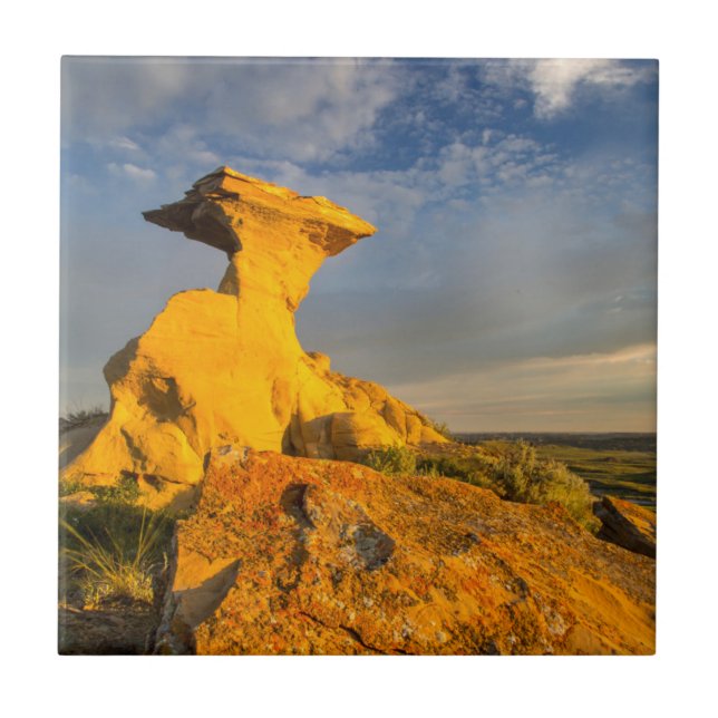 Sculpted Badlands Formation In Short Grass Tile (Front)