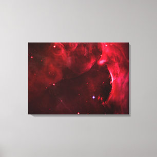 Sculpted Region of the Orion Nebula Canvas Print