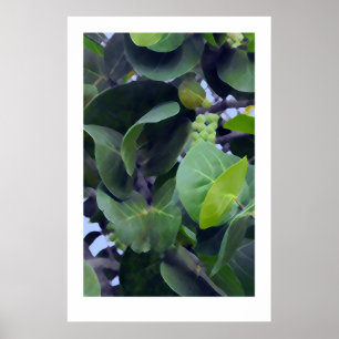 Sculptural Leaves Poster