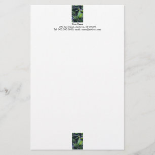 Sculptural Leaves stationery