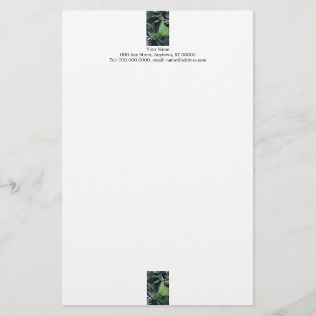 Sculptural Leaves stationery (Front)